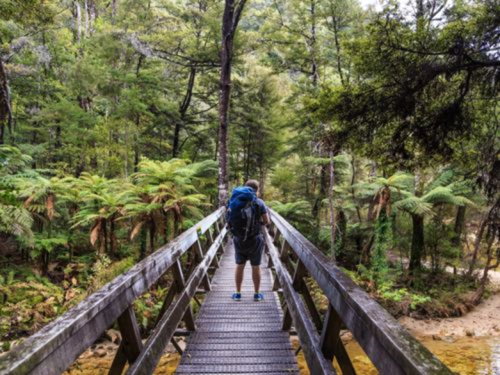 Hike The Abel Tasman Coast Track